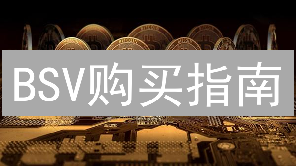 BSV购买指南：新手必读！安全策略大揭秘，避免踩坑！