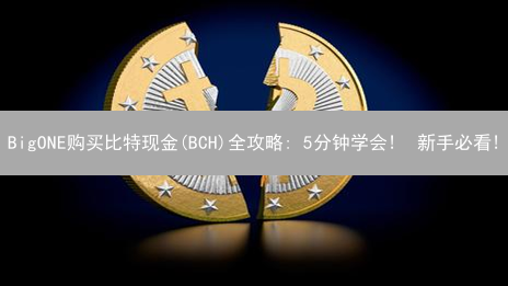 BigONE购买比特现金(BCH)全攻略: 5分钟学会!  新手必看!