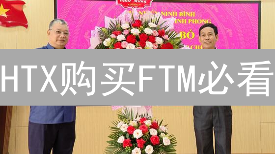 HTX购买FTM必看：避坑指南，新手也能轻松上手！