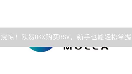 震惊！欧易OKX购买BSV，新手也能轻松掌握？